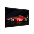 Quadro Fórmula 1 Perfil -- Br Artes