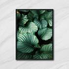 Quadro Foto De Folhas 24x18cm - Com Vidro Moldura:madeira Bra