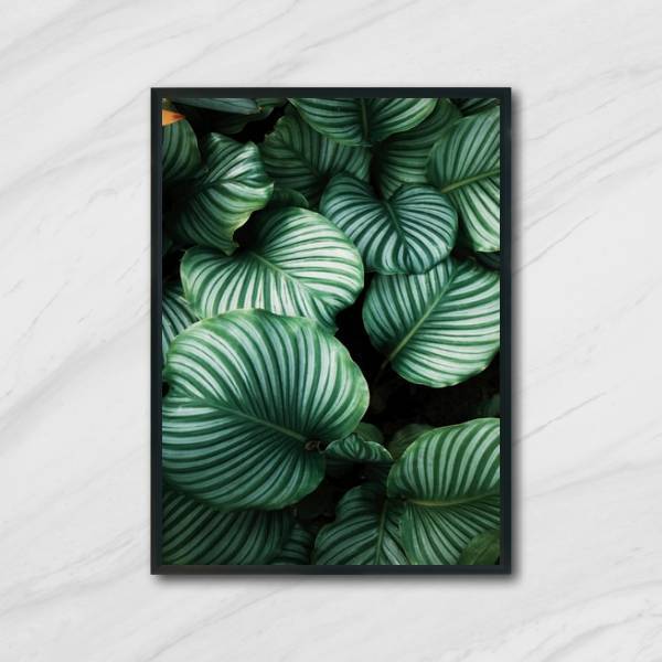 Quadro Foto De Folhas 24x18cm - Com Vidro Moldura:madeira Bra