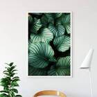 Quadro Foto De Folhas 33x24cm - Com Vidro Moldura:madeira Pre