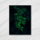 Quadro Foto Folhagem 45x34cm - Com Vidro Moldura:madeira Bran