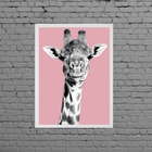 Quadro Foto Girafa Fundo Rosa 24x18cm Moldura:madeira Preta