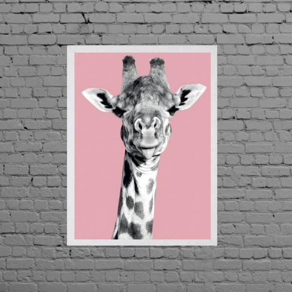 Quadro Foto Girafa Fundo Rosa 33x24cm Moldura:madeira Branca