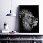 Quadro Foto Leão - Preto E Branco 24x18cm - Com Vidro Moldura