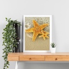 Quadro Foto Praia - Estrela Mar 33x24cm Moldura Branca