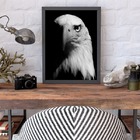 Quadro Fotografia Águia 45x34cm Moldura:madeira Branca