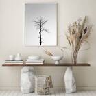 Quadro Fotografia Árvore Seca 24x18cm Moldura:madeira Branca