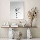 Quadro Fotografia Árvore Seca 24x18cm Moldura:madeira Preta