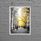 Quadro Fotografia Árvores Folhas Amarelas 33x24cm Moldura:mad