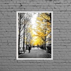 Quadro Fotografia Árvores Folhas Amarelas 45x34cm - Com Vidro