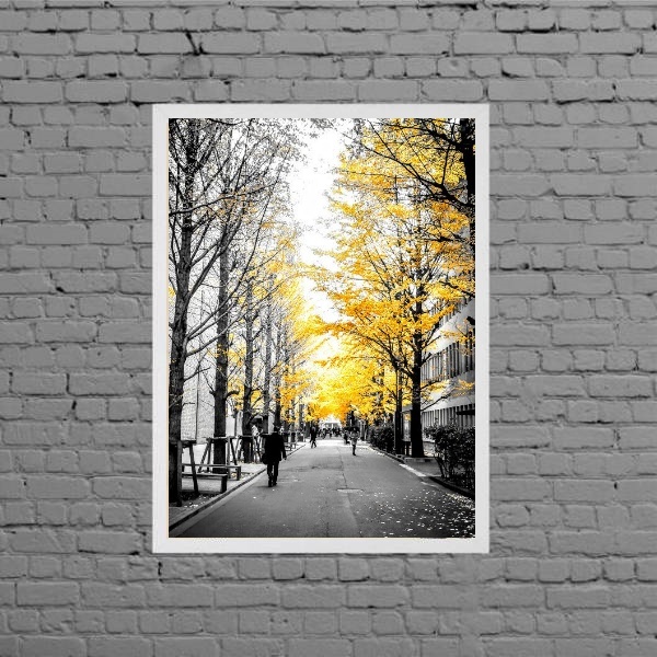 Quadro Fotografia Árvores Folhas Amarelas 45x34cm - Com Vidro