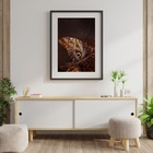 Quadro Fotografia Borboleta Marrom - 60x48 cm Moldura:madeira