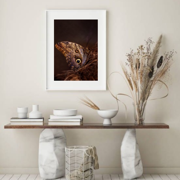 Quadro Fotografia Borboleta Marrom - 60x48 cm Moldura:madeira