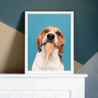 Quadro Fotografia Cachorro Na Cozinha 24x18cm Moldura:madeira