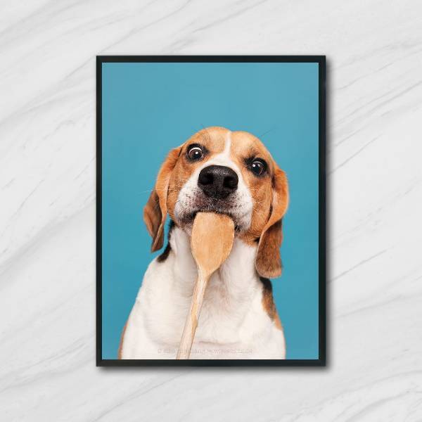 Quadro Fotografia Cachorro Na Cozinha 33x24cm - Com Vidro Mol