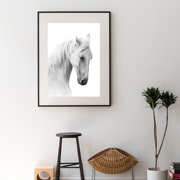 Quadro Fotografia Cavalo Branco - 60x48cm Moldura:madeira Bra