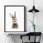 Quadro Fotografia Coelho - 60x48cm Moldura:madeira Preta