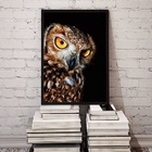 Quadro Fotografia Coruja- Fundo Preto 24x18cm - Com Vidro Mol