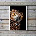 Quadro Fotografia Coruja- Fundo Preto 33x24cm - Com Vidro Mol