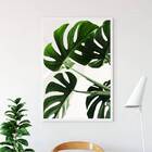 Quadro Fotografia Costela De Adão 24x18cm Moldura:madeira Bra