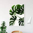 Quadro Fotografia Costela De Adão 33x24cm - Com Vidro Moldura