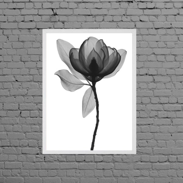 Quadro Fotografia De Flor Preto E Cinza 33x24cm - Com Vidro M