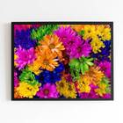 Quadro Fotografia De Flores Multicoloridas 33x24cm - Com Vidr