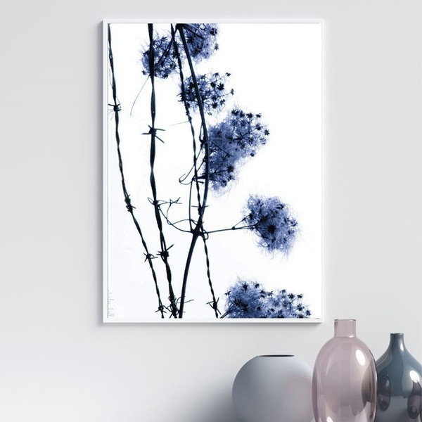 Quadro Fotografia Flores Do Campo Azul 45x34cm Moldura Branca