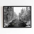 Quadro Fotografia Floresta Com Neve 24x18cm - Com Vidro Moldu