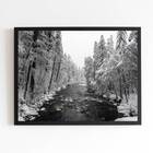 Quadro Fotografia Floresta Com Neve 33x24cm - Com Vidro Moldu