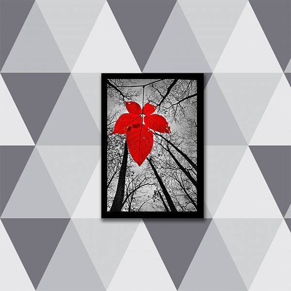 Quadro Fotografia Folha Maple Vermelha 24x18cm - Com Vidro Mo