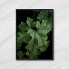 Quadro Fotografia Folhas 45x34cm - Com Vidro Moldura:madeira