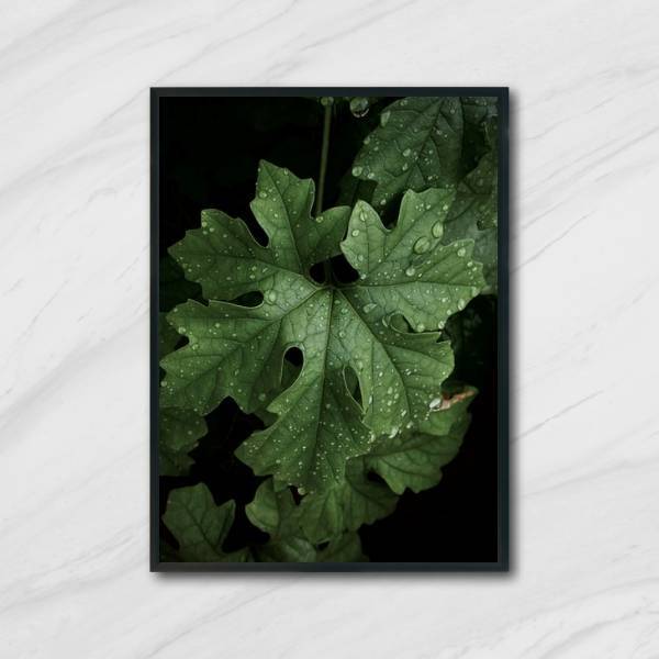 Quadro Fotografia Folhas 45x34cm - Com Vidro Moldura:madeira