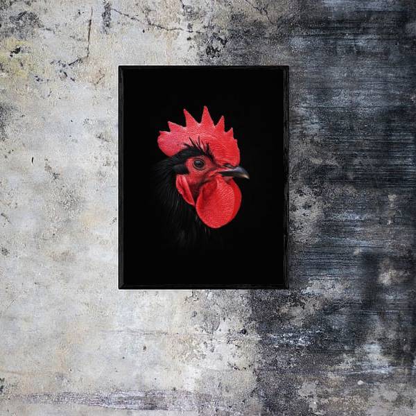 Quadro Fotografia Galo 45x34cm - Com Vidro Moldura:madeira Br