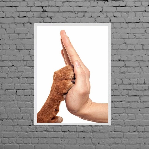 Quadro Fotografia Mão E Pata 24x18cm Moldura:madeira Branca