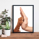 Quadro Fotografia Mão E Pata 45x34cm Moldura:madeira Branca