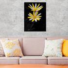 Quadro Fotografia Margarida Amarela E Branca 45x34cm - Com Vi