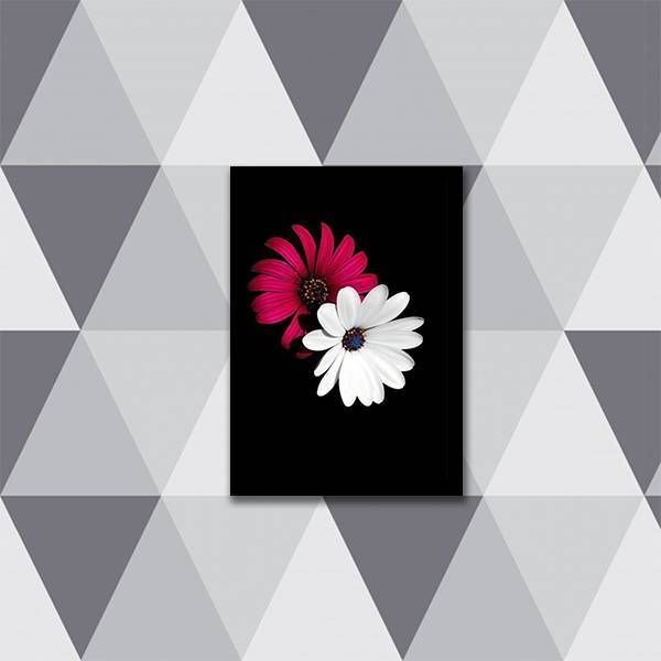Quadro Fotografia Margarida Vermelha E Branca 24x18cm Moldura