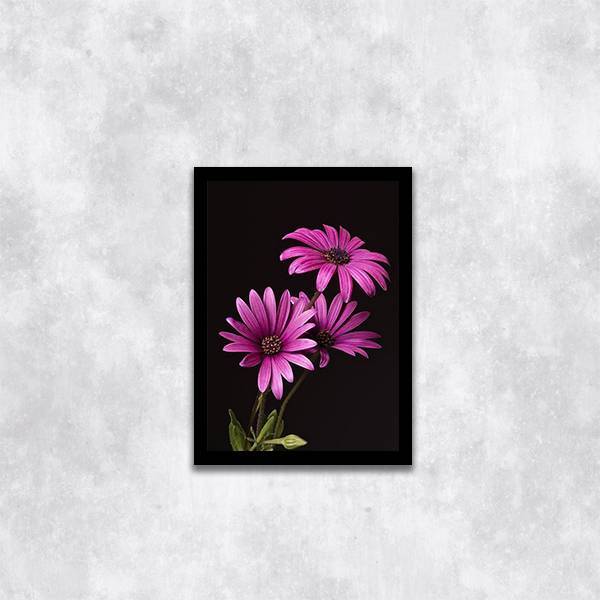 Quadro Fotografia Margaridas Roxas 24x18cm Moldura:madeira Pr