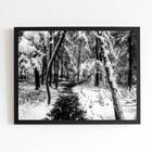 Quadro Fotografia Neve Na Floresta 24x18cm - Com Vidro Moldur