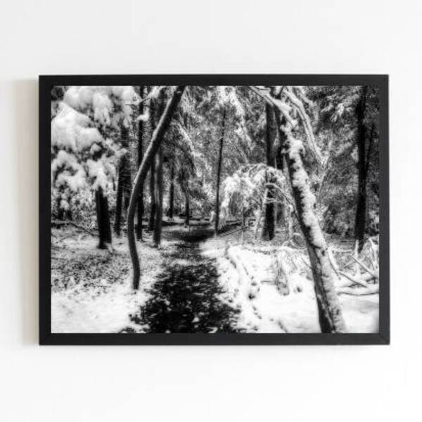Quadro Fotografia Neve Na Floresta 24x18cm - Com Vidro Moldur