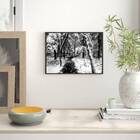 Quadro Fotografia Neve Na Floresta 33x24cm - Com Vidro Moldur