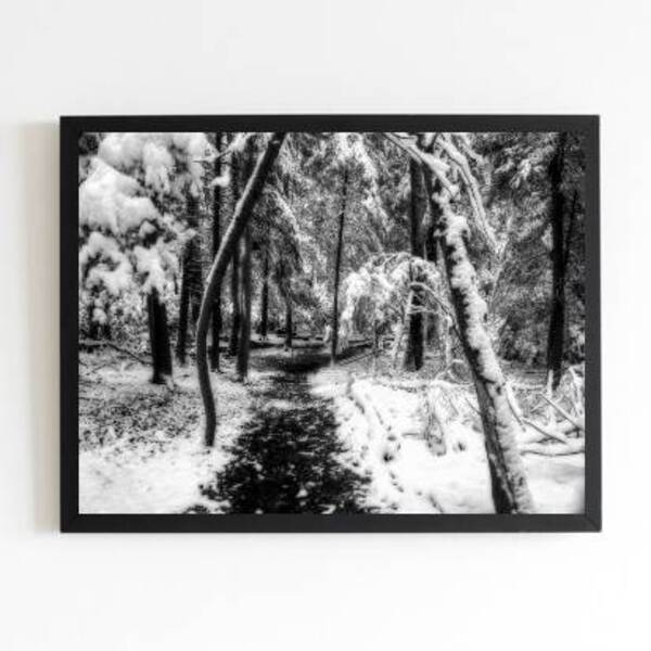 Quadro Fotografia Neve Na Floresta 45x34cm - Com Vidro Moldur