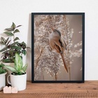 Quadro Fotografia Passarinho Fundo Nude 33x24cm - Com Vidro M