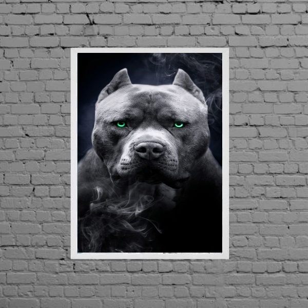 Quadro Fotografia Pitbull Olhos Verdes 33x24cm Moldura:madeir