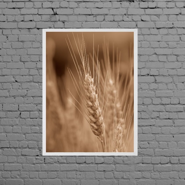 Quadro Fotografia Ramo De Trigo 24x18cm - Com Vidro Moldura:m