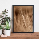Quadro Fotografia Ramo De Trigo 45x34cm Moldura:madeira Preta