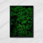 Quadro Fotografia Samambaias 24x18cm Moldura:madeira Branca