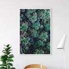 Quadro Fotografia Suculentas 24x18cm Moldura:madeira Branca