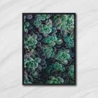 Quadro Fotografia Suculentas 24x18cm Moldura:madeira Branca